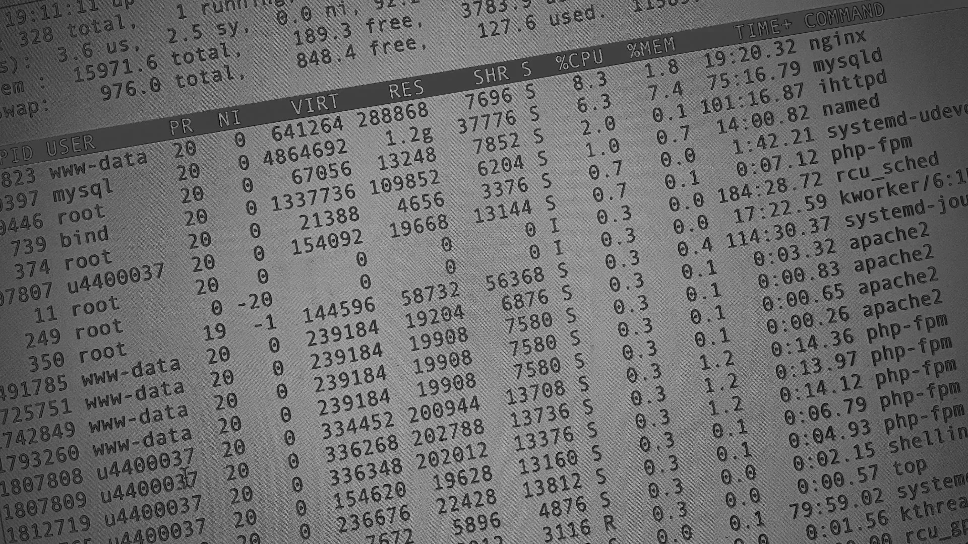 Настройка сервера в Рузаевке