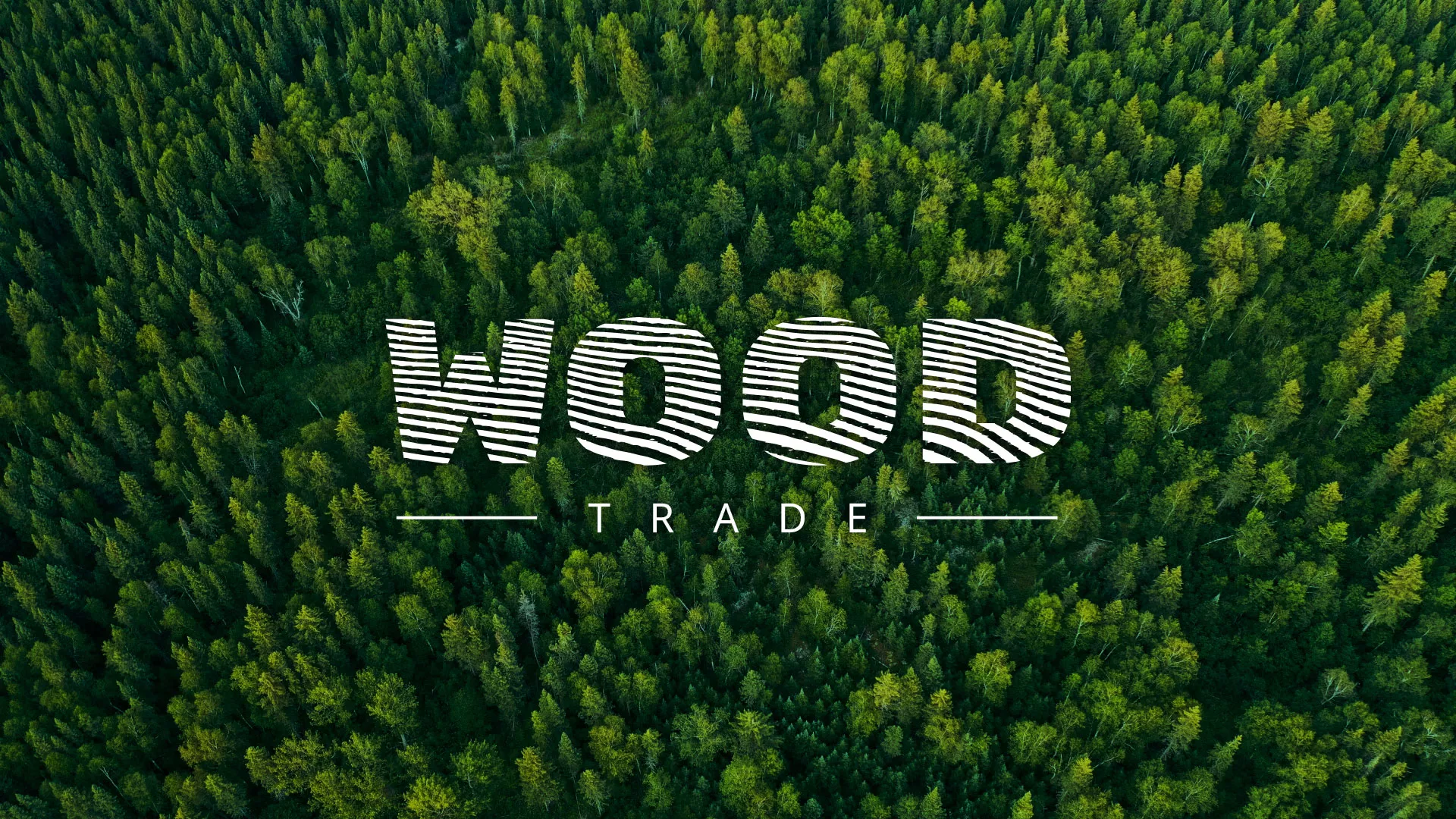 Разработка интернет-магазина компании «Wood Trade» в Рузаевке
