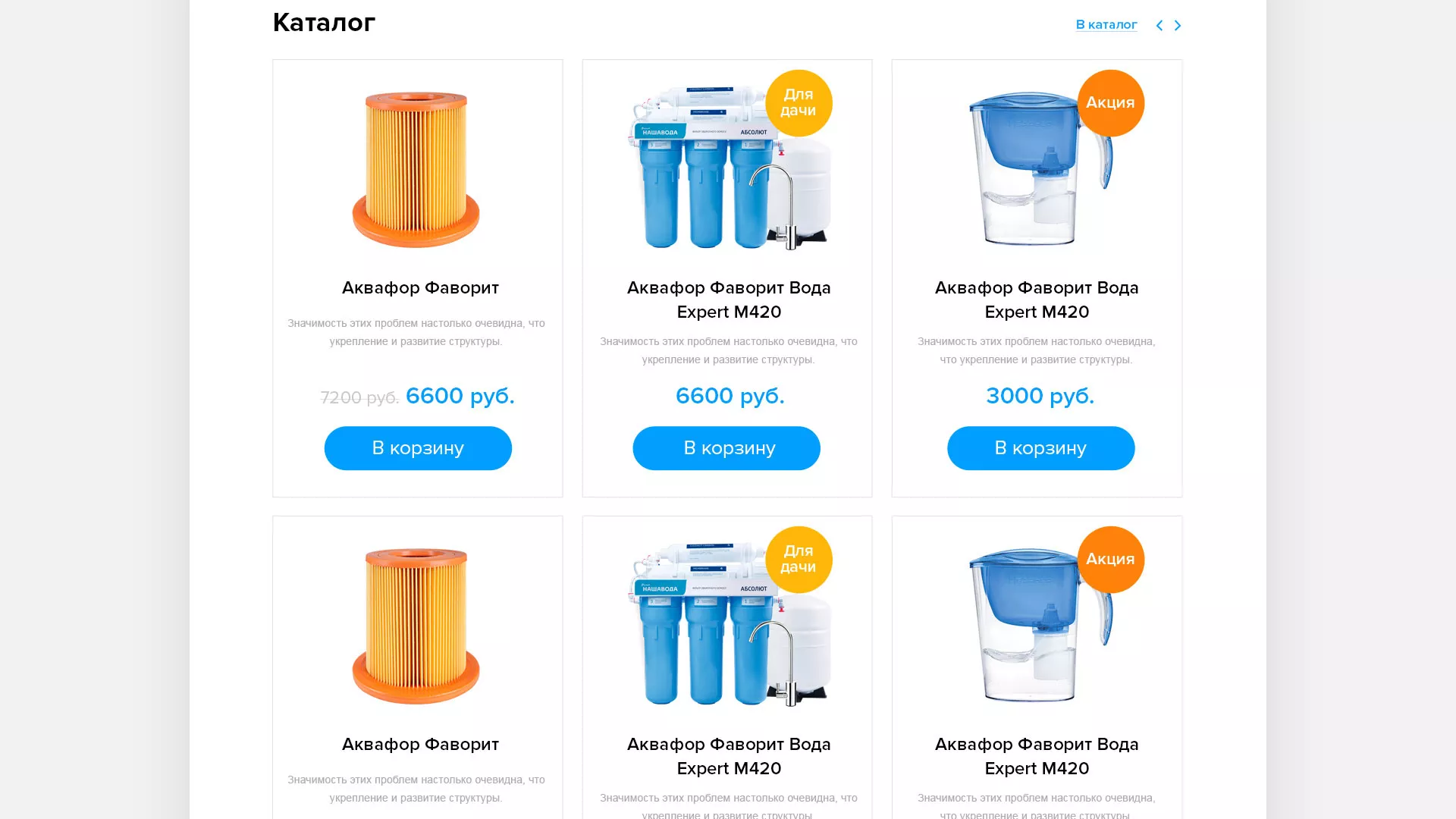 Создание интернет-магазина «Водолей» по продаже фильтров очистных сооружений в Рузаевке